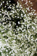 White gypsophila on any holiday beautiful and delicate decor. Wedding or party. Baby's breath...