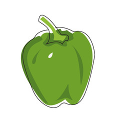 Vector flat illustration of green pepper on a white background