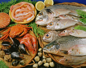 Seafood still life.