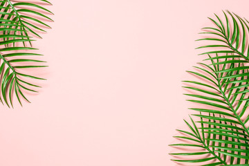 Tropical leaves on pink background. 