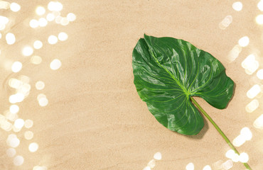 Fototapeta na wymiar nature, organic and summer concept - green tropical leaf on beach sand