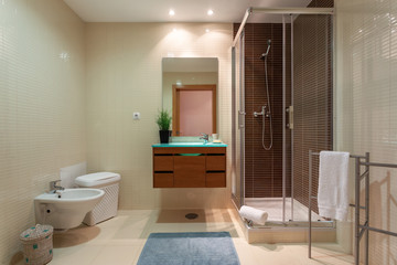 Modern toilet shower in the hotel for tourists.