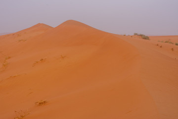 Fototapeta na wymiar Desert at sunrise brings out bold burnt orange colored sand making a great desert landscape.