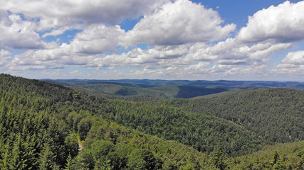 Fototapeta na wymiar Luftaufnahme vom Pälzerwald