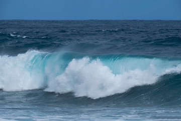 Fototapeta premium Die Welle