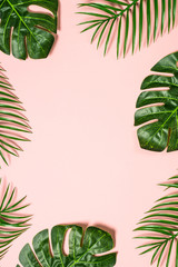 Naklejka premium Tropical leaves on pink background. 