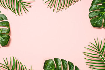 Fototapeta na wymiar Tropical leaves on pink background.
