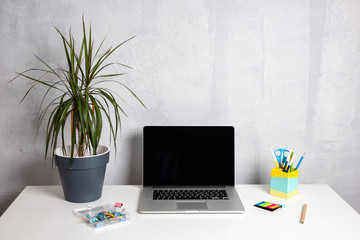 Modern work table with green plant in grey pot, accessories and computer laptop in home office studio. Freelance designer or blogger desktop. Wall Background, copy space for your text