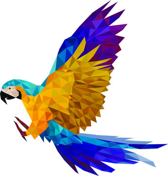 Polygonal wild blue parrot