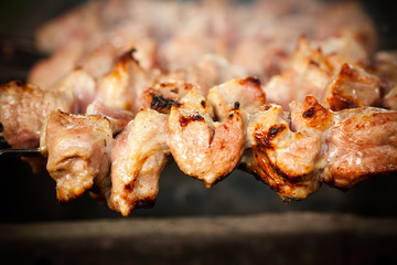 barbecue.  meat is fried on the coals. cooking meat in nature