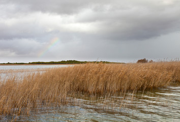 Big Lagoon of Villafranca de los Caballeros, Toledo, Castilla La Mancha, Spain