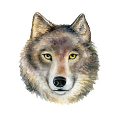 Wolf profile watercolor illustration. Realistic wolf isolated on white background. Template. Close-up. Clip art. Hand drawn. Clip art.