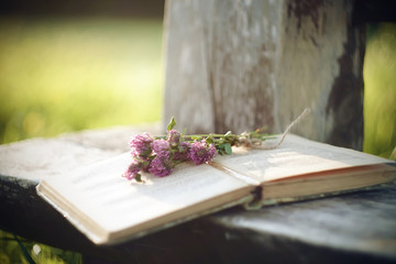 In the Park in the summer on the edge of an old bench lies a shabby open book with which lies a bouquet of blooming clover flowers, illuminated by sunlight.