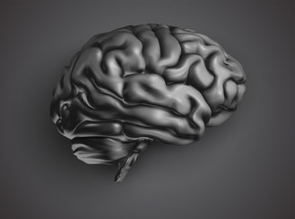 anatomical human brain, mesh vector, scientific article design and medical booklet