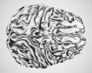 Obraz premium anatomical human brain, mesh vector, scientific article design and medical booklet