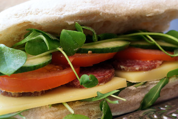 Close up  of sandwich with tomato cucumber salami 