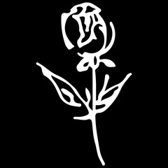 Abstract hand drawn rose flower isolated on black background. Rose flower  outline icon. Line art. Close up