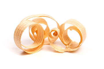 wooden sawdust slice isolated on the white .