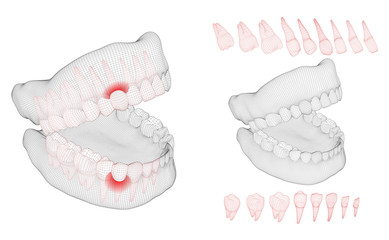 human jaw. 3d vector layout. medicine and health. pain teeth.