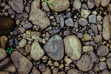 Stone for Background and Texture