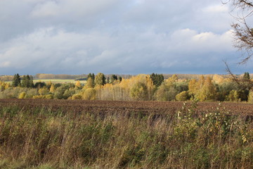 landscape 5