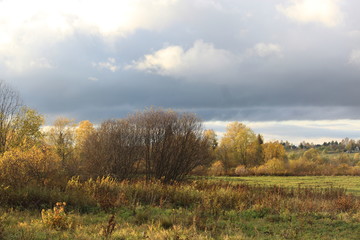 autumn landscape with trees and blue sky 5