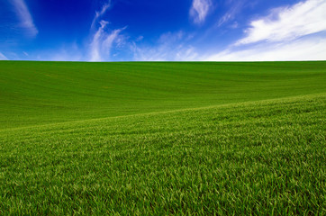 Abstract natural background