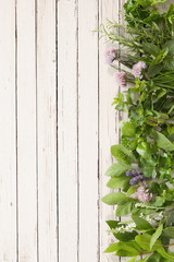 Fresh herbs and edible flower vertical border