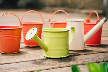 Colorful watering cans and buckets for plants in garden