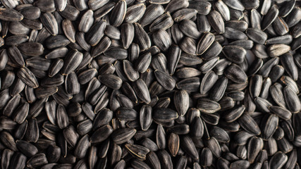 Sunflower seeds, back ground or texture, high detail