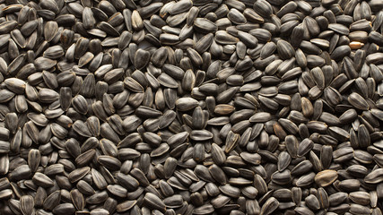 Sunflower seeds, back ground or texture, high detail