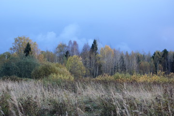 landscape  9