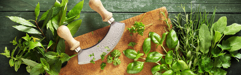 Panorama banner of a mezzaluna knife and herbs