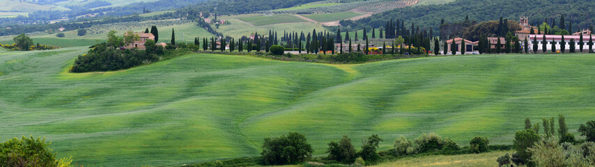 Pienza, Tuscany - June 2019: Beautiful green hills near San Quirico d'Orcia (Siena) in Tuscany. italy