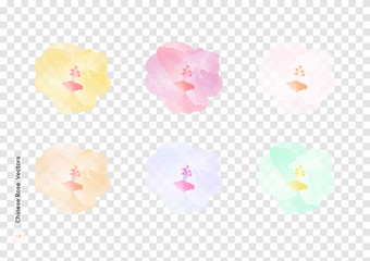 Chinese Rose or Hibiscus rosa sinensis flowers vectors with watercolor brush isolated on transparency background, beautiful floral element design for decoration