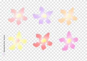 Mandevilla Vine flowers vectors with watercolor brush isolated on trasparency background, beautiful floral element design for decoration