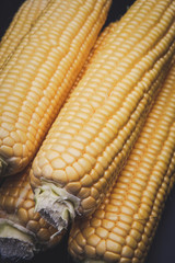 raw corn pockets on dark background