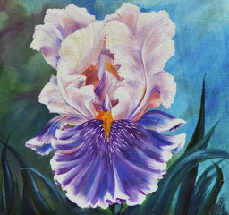 Painting with a beautiful flower of iris close-up, against the background of green leaves. Illustration of original oil painting on canvas.