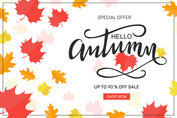 Autumn sale background layout decorate