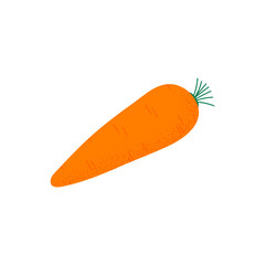 Carrot in flat style isolated