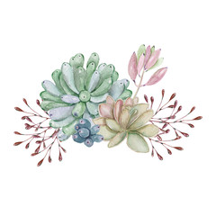 Watercolor succulent composition. Watercolor graphic for fabric, postcard, wedding or greeting card, book, poster, tee-shirt, banners, emblems, logo. Illustration, isolated objects.