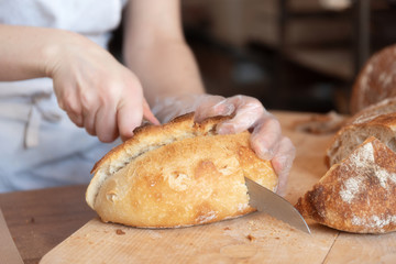 Woman cuts freshly baked bread on wooden background, close up