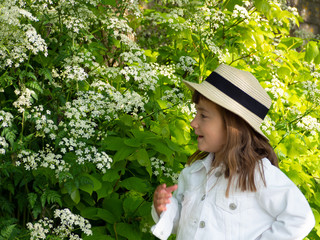 А pretty little girl is picking flowers. A sunny child in a straw hat is picking dandelions on a green glade. Summer girl.