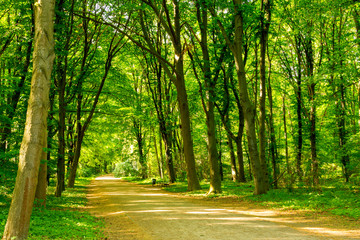 Obraz premium Great Zoo Garden in Berlin Germany