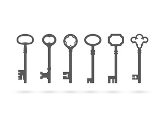 Icon old keys vector illustration