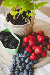 fresh strawberry blueberry and blackberry on wooden desk