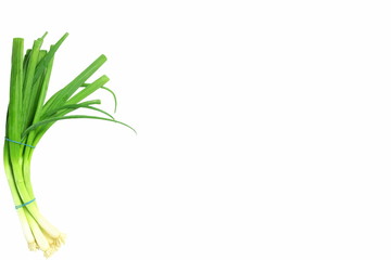  green onion whole bunch for soup,sambhar,dal,curry,cooking and food related background,white background