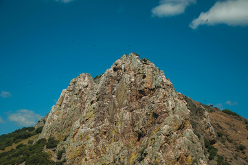 Cliffs covered by trees at the Monfrague National Park