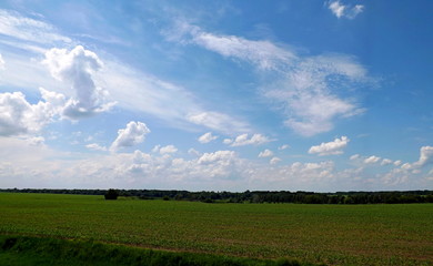 Obraz premium green field and blue sky