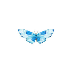 Watercolor blue butterfly